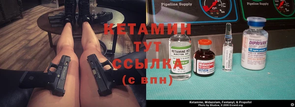 индика Алексин