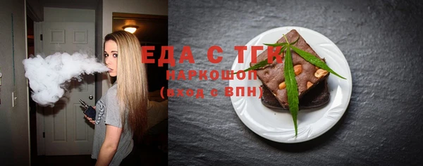 индика Алексин