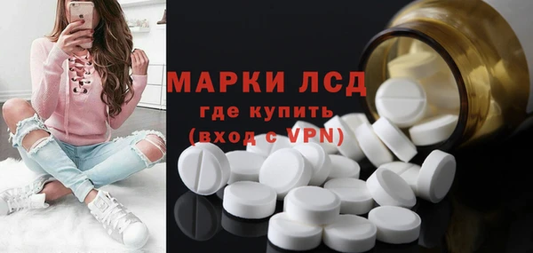 индика Алексин