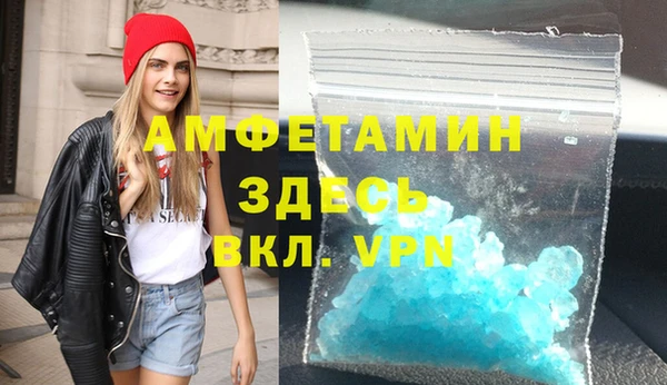 индика Алексин