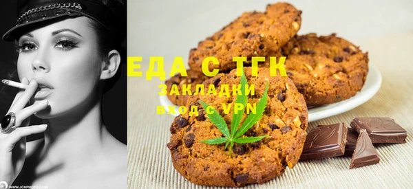 индика Алексин