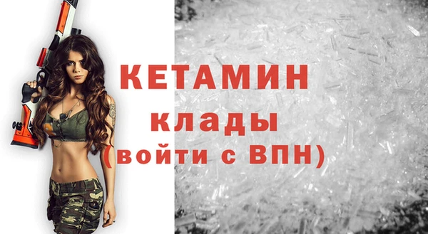 индика Алексин