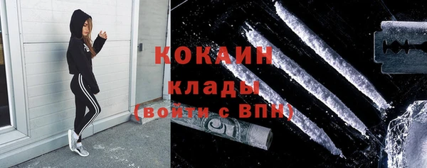 индика Алексин
