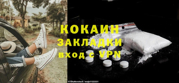 индика Алексин